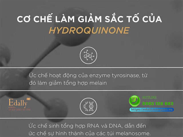 Cơ chế hoạt động của Hydroquinone làm giảm sắc tố trong điều trị nám da