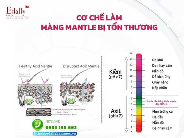 Cơ chế làm màng mantle bị tổn thương khi sử dụng sữa rửa mặt làm sạch da quá đà