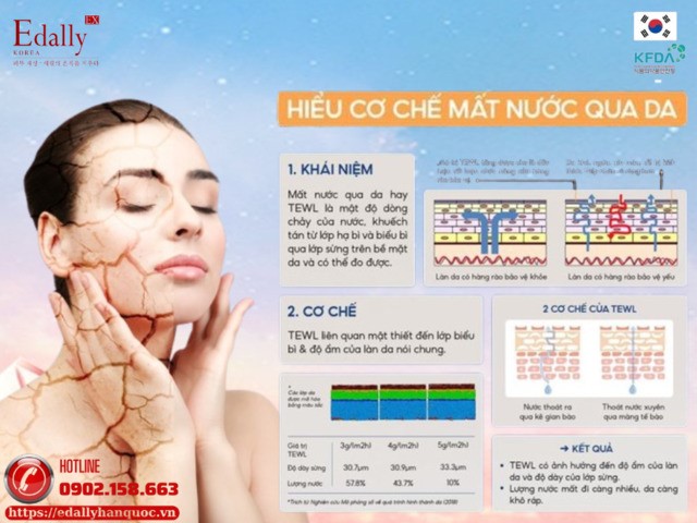 Hiểu về cơ chế mất nước qua da