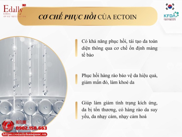 Cơ chế phục hồi da của Ectoin như thế nào?