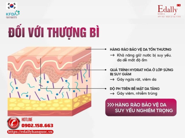 Tác động của lão hóa đối với lớp thượng bì của da