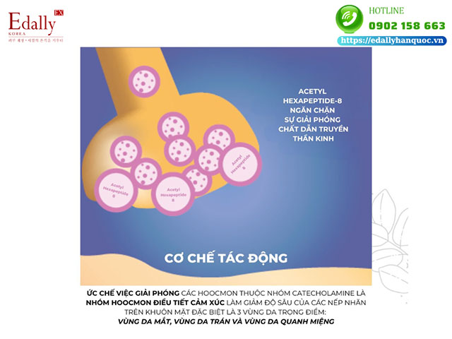 Cơ chế tác động của hoạt chất Acetyl Hexapeptide-8 lên làn da?