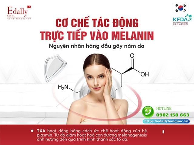 Cơ chế tác động của Tranexamic Acid (TXA) trong quá trình điều trị nám da