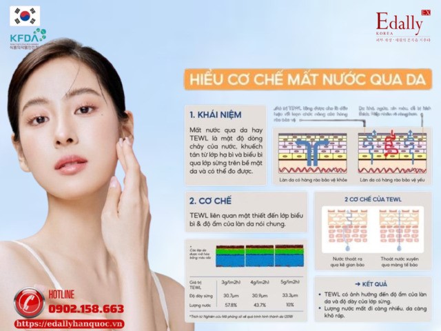 Cơ chế thoát nước qua da