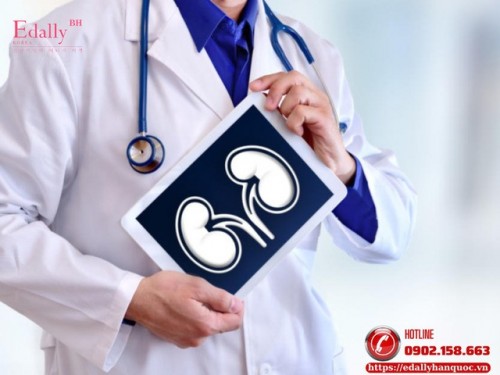 Có Phải Mọi Bệnh Nhân Mắc Bệnh Thận Mạn Đều Cần Khám Bác Sĩ Chuyên Khoa Thận - Tiết Niệu Không?