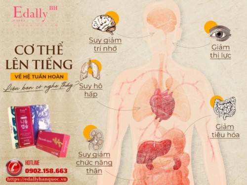 Hệ Tuần Hoàn Máu Kém - Cơ Thể Lên Tiếng Liệu Bạn Có Nghe Thấy?