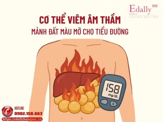 Cơ thể viêm âm thầm - mảnh đất màu mỡ cho bệnh tiểu đường