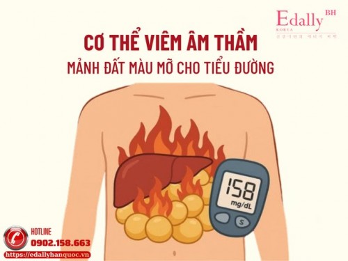Cơ Thể Viêm Âm Thầm - Mảnh Đất Màu Mỡ Cho Tiểu Đường