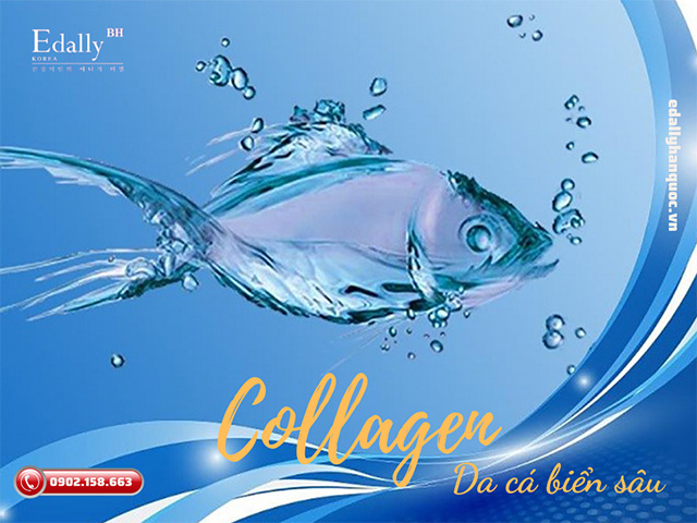 Collagen da cá biển sâu - Một trong những thành phần làm nên tên tuổi của thương hiệu Mỹ phẩm Hàn Quốc Edally EX