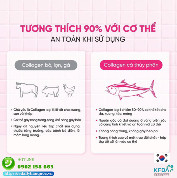 Collagen cá thủy phân tương thích 90% với cơ thể người