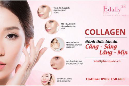 Collagen - Bí Quyết Cho Một Làn Da Đẹp