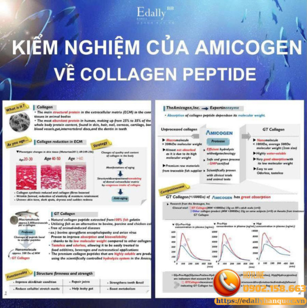 Kiểm nghiệm của Amicogenc ho thấy Collagen peptide gốc cá dạng nước dễ hấp thu hơn