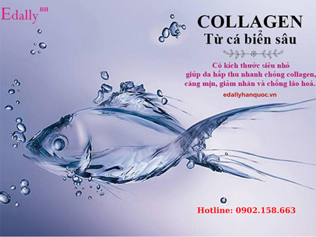 Collagen thủy phân Edally Hàn Quốc chiết xuất từ Collagen da cá biển sâu