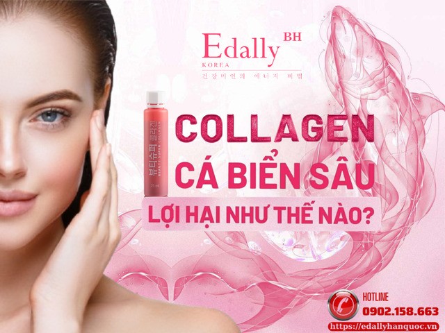 Collagen thủy phân gốc cá biển sâu lợi hại như thế nào?