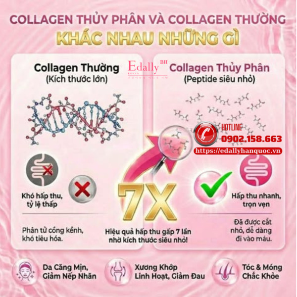 Collagen thủy phân và collagen thường khác nhau những gì?