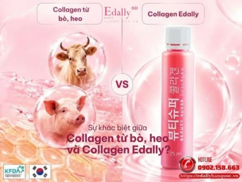 Collagen Từ Bò, Heo Và Collagen Edally - Khác Nhau Ở Đâu?