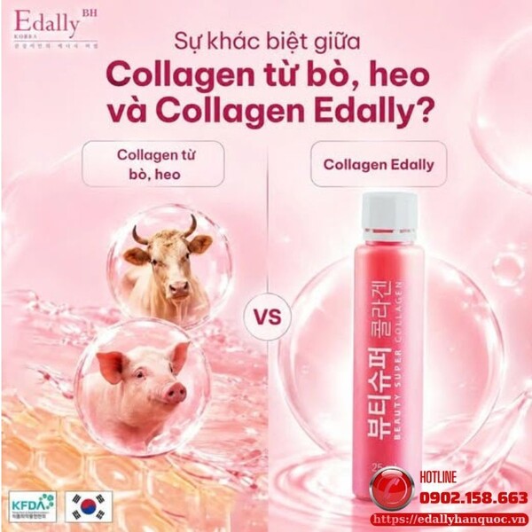 Collagen từ bò, heo và Collagen Edally - khác nhau ở đâu?