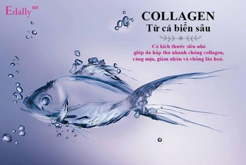 Collagen Cá Biển Sâu Có Thực Sự Tốt?