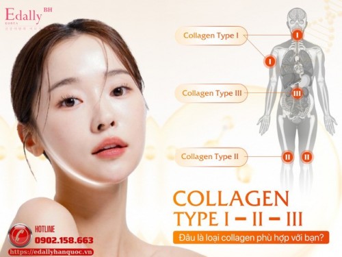 Collagen Type I - II - III: Đâu Là Collagen Phù Hợp Với Bạn?