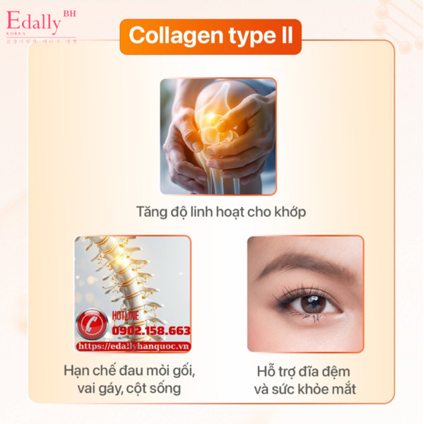 Tác dụng của Collagen type II Tác dụng của Collagen type II