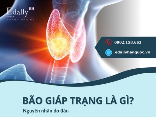 Cơn Bão Giáp Trạng Là Gì? Cách Phòng Tránh Cơn Bão Giáp Trạng?