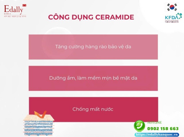 Công dụng của ceramide trong bảo vệ da và da bị bệnh