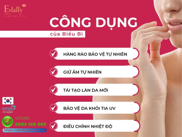 Lớp biểu bì của da có tác dụng gì?