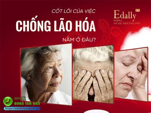 Cốt Lõi Của Việc Chống Lão Hóa Nằm Ở Đâu - Có Phải Là Ma Trận Ngoại Bào?