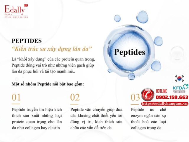 Cuộc cách mạng skincare với hoạt chất Peptides