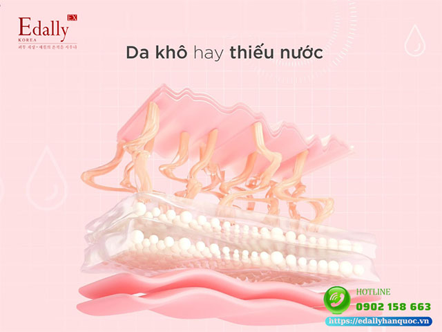 Da khô hay da bị thiếu nước?