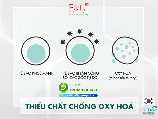 Da khô lão hóa nhanh hơn da dầu do thiếu chất chống Oxy hoá