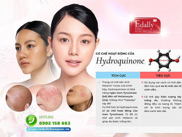 Hydroquinone được xem là 