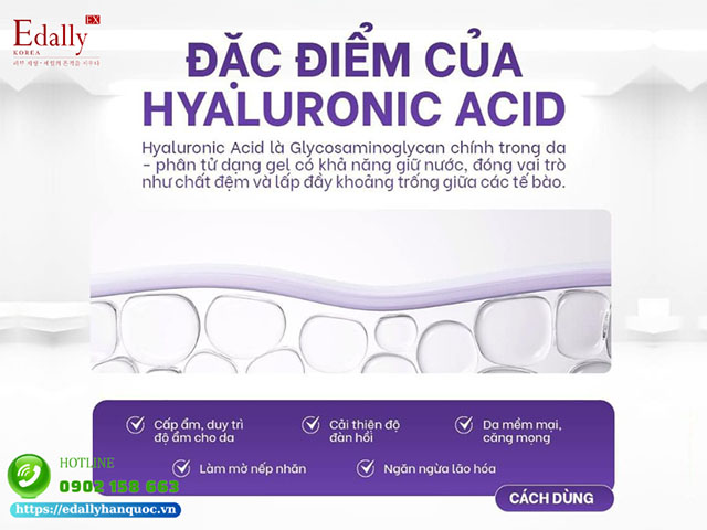 Đặc điểm của Hyaluronic Acid (HA) trong làm đẹp da