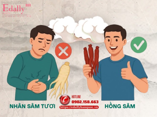 Đang đau bụng mà ăn Nhân sâm là tắc tử đấy liệu có đúng?