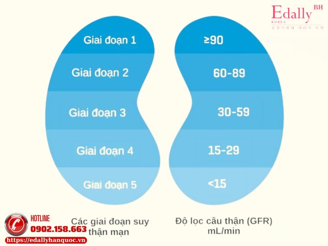 Đánh giá tiên lượng bệnh thận mạn - đừng chỉ nhìn creatinin và mức lọc cầu thận