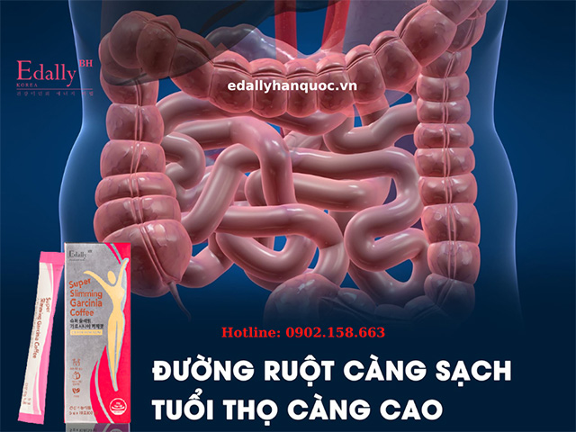 Đào thải độc tố đường ruột thường xuyên giúp kéo dài tuổi thọ