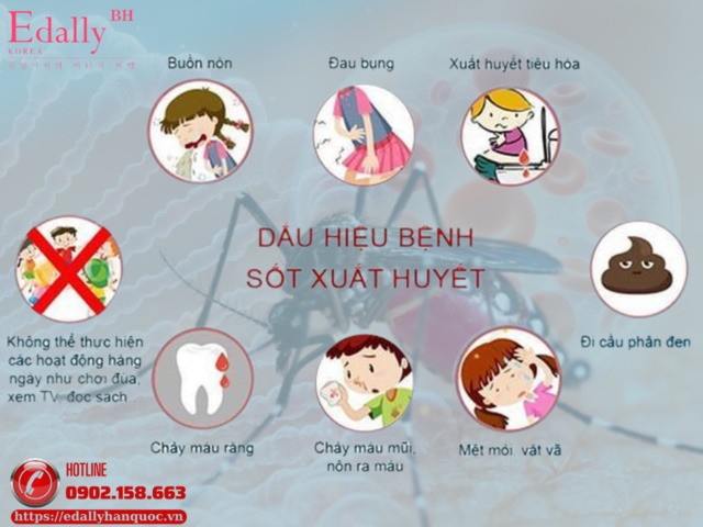 Dấu hiệu của bệnh sốt xuất huyết
