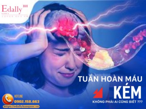 Dấu Hiệu Cảnh Báo Tuần Hoàn Máu Kém - Đừng Chủ Quan Với Cơ Thể Của Bạn
