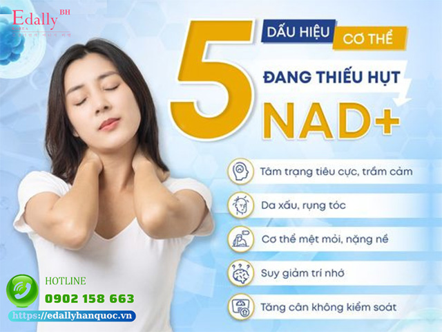 Dấu hiệu cơ thể thiếu hụt NAD+