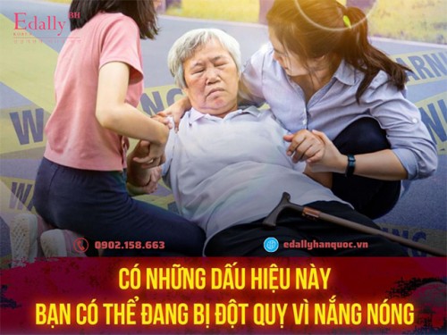 Dấu Hiệu Đột Quỵ Vì Nắng Nóng Và Cách Phòng Tránh