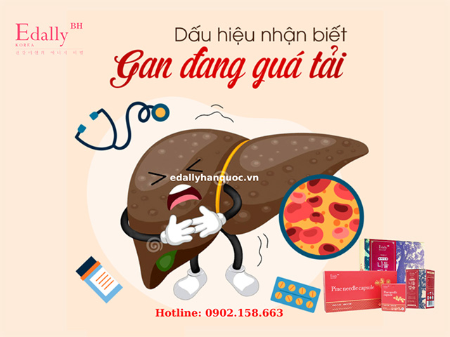 Làm thế nào để nhận biết chức năng gan đang bị suy giảm?