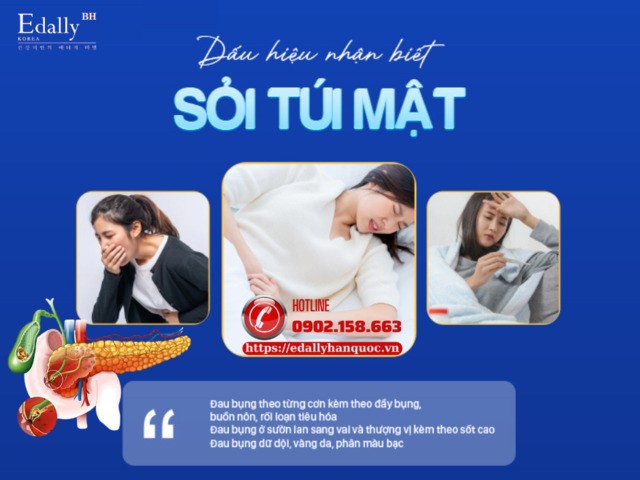 Dấu hiệu nhận biết bị sỏi túi mật