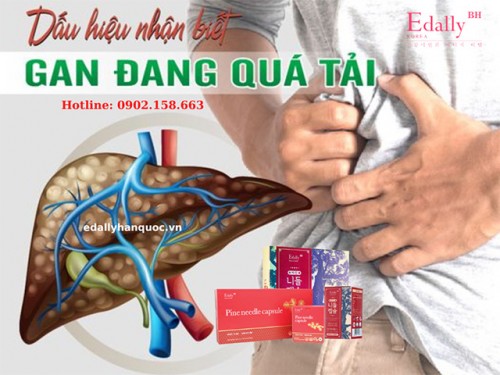 Dấu Hiệu Gan Suy Yếu Và Quá Tải