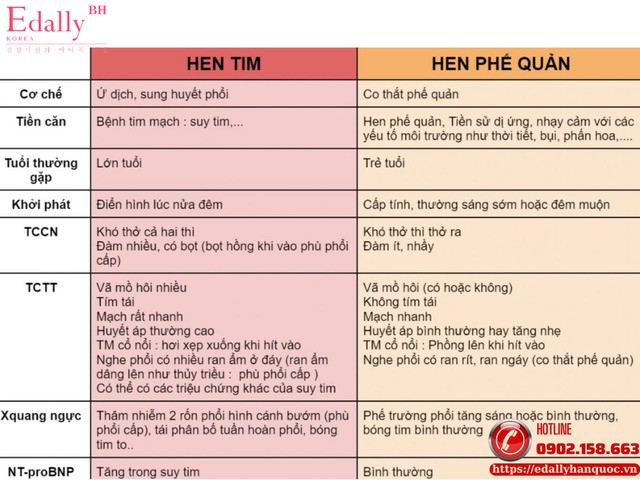 Dấu hiệu phân biệt hen tim và hen phế quản