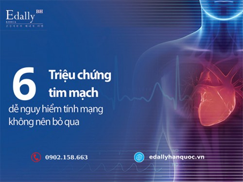 Triệu Chứng Điển Hình Cảnh Báo Nguy Cơ Bệnh Tim Mạch