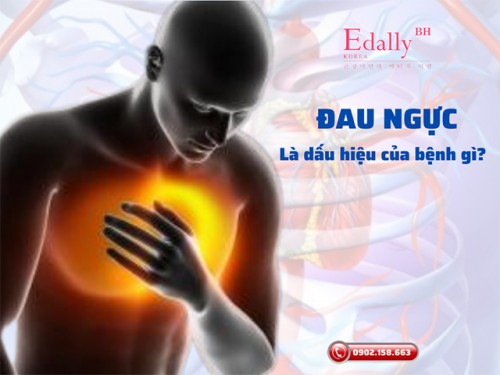 Đau Ngực Là Dấu Hiệu Của Bệnh Gì? Cần Làm Gì Khi Bị Đau Ngực?