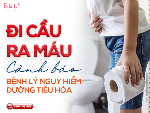 Đi ngoài ra máu - Cẩn trọng với các bệnh lý đường tiêu hóa nguy hiểm bạn có thể gặp phải