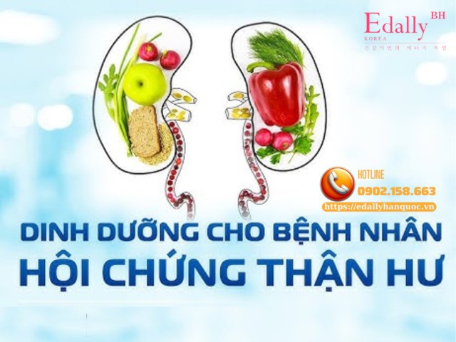 Dinh dưỡng hỗ trợ điều trị cho bệnh nhân bị hội chứng thận hư