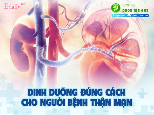 Chế độ dinh dưỡng đúng cách cho người bệnh thận mạn thế nào?