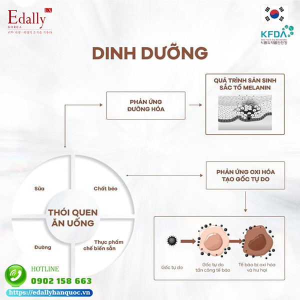 Chế độ dinh dưỡng không khoa họclà tác nhân chính dẫn đến tình trạng sạm xỉn da